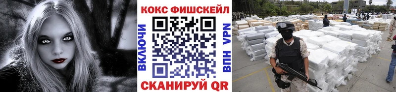 КОКАИН Fish Scale  закладки  Судогда 
