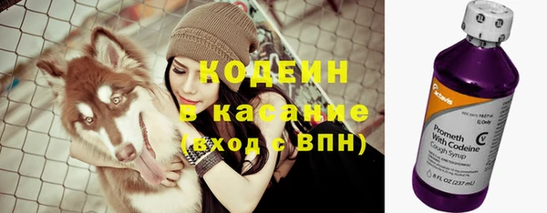 ПСИЛОЦИБИНОВЫЕ ГРИБЫ Инта