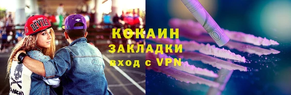 ПСИЛОЦИБИНОВЫЕ ГРИБЫ Инта