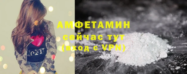 твердый Инсар