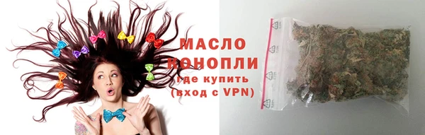 твердый Инсар