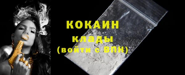твердый Инсар