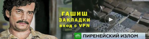 твердый Инсар