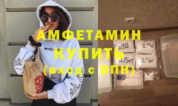 твердый Инсар
