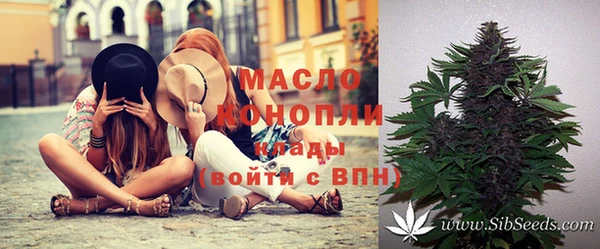 ПСИЛОЦИБИНОВЫЕ ГРИБЫ Инта