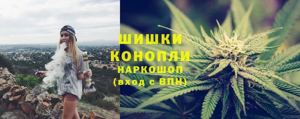 ПСИЛОЦИБИНОВЫЕ ГРИБЫ Инта
