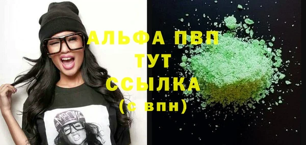 твердый Инсар