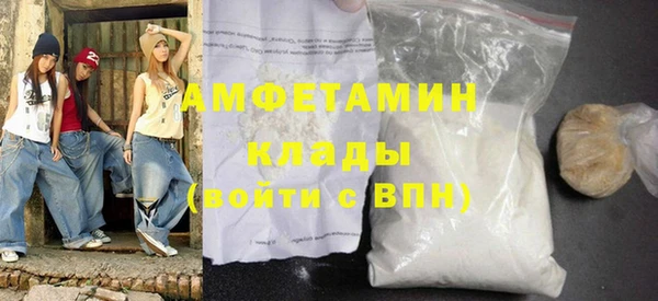 твердый Инсар