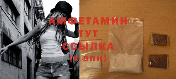 твердый Инсар