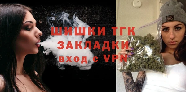 ПСИЛОЦИБИНОВЫЕ ГРИБЫ Инта
