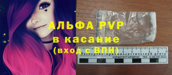 стаф Иннополис