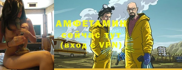 ПСИЛОЦИБИНОВЫЕ ГРИБЫ Инта