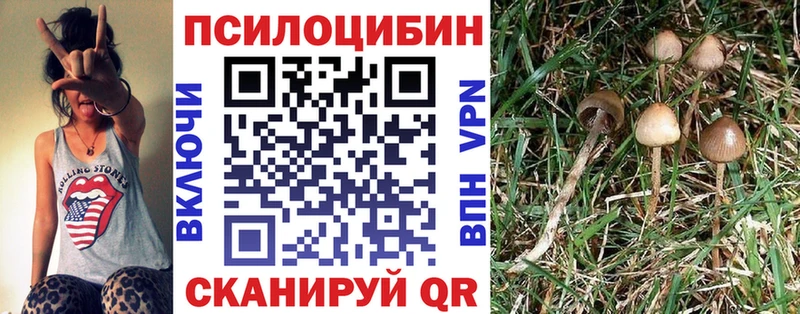 Галлюциногенные грибы Cubensis  гидра   Судогда 