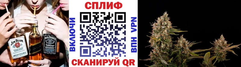 Каннабис SATIVA & INDICA  продажа наркотиков  Судогда 