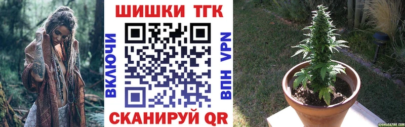 Бошки Шишки план Судогда